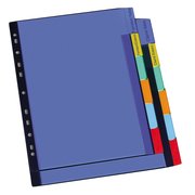 Divisori Con Cavalierino 6 Posizioni Colori Assortitti