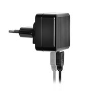 AbsolutePower™ Dual USB Wandlader