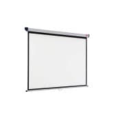Wall Mounted Screens