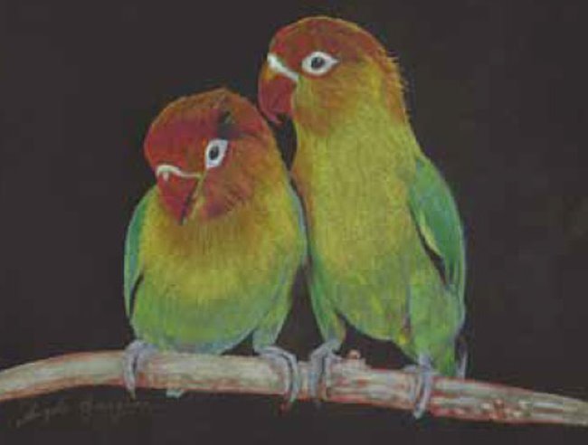 Coloursoft & Metallic: Lovebirds