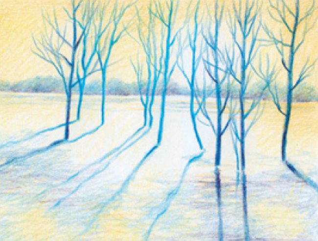 Artists pencils: Winter trees project