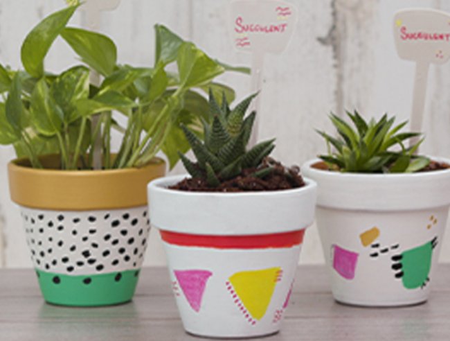 Derwent Painting a Plant Pot Step by Step Guide