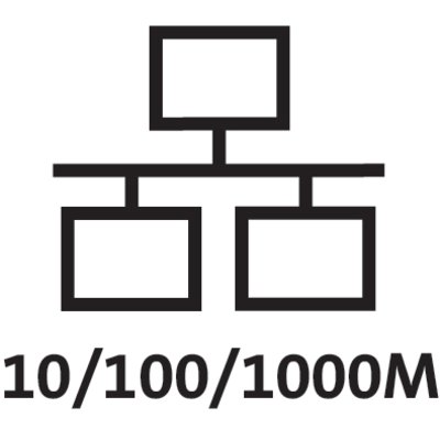 Gigabit Transfer Speeds