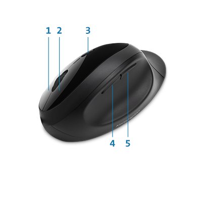 Five Mouse Buttons (including forward and back)