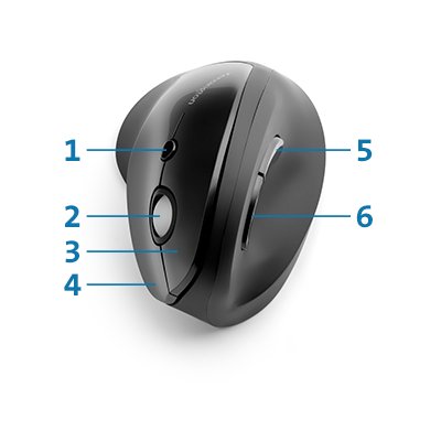 Kensington Pro Fit Ergo souris ergonomique sans fil (5 boutons