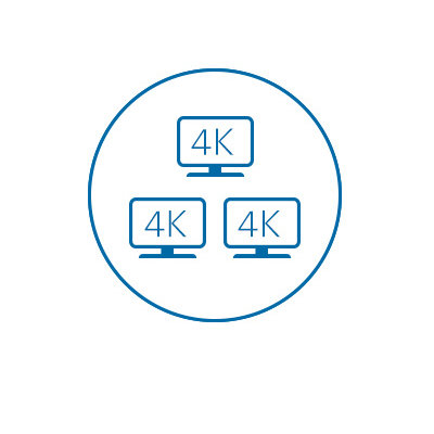 Triple 4K Video Output (HDMI or DP++)