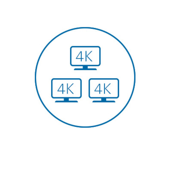 Triple 4K Video Output (HDMI or DP++)