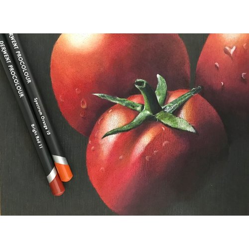 Tomatoes by Judith Selcuk