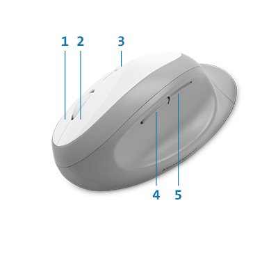 Five Mouse Buttons (including forward and back)