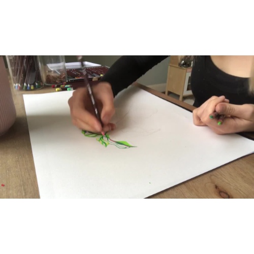 Observational Drawing with Claudine O'Sullivan