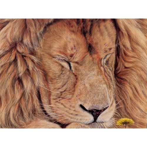 Dandy Lion by LAW