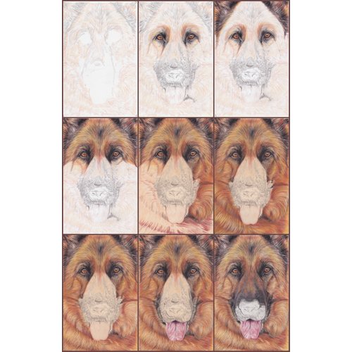 GSD Dog Progress Collage by LAW
