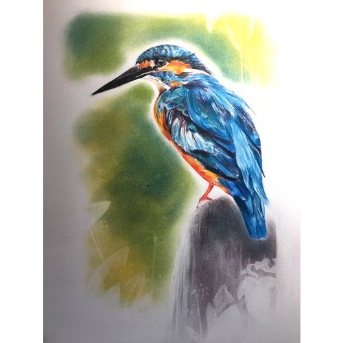 Beverley Haines - Kingfisher using Procolour