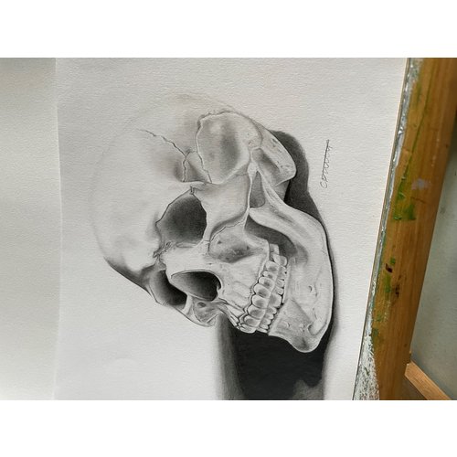 Lotte Philip - "Skull Study"